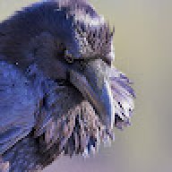 RAL