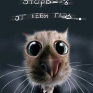 Satis