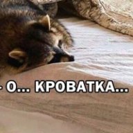 qqst