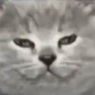 CatBoom