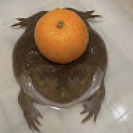 Vaavok