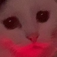 MustDie