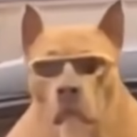 huseindogg