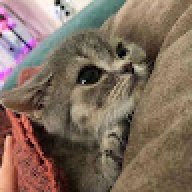 kekw