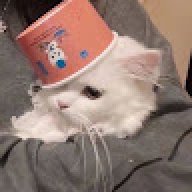 qweqwe1