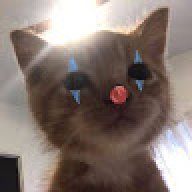 sxgxvx