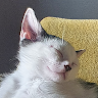zre