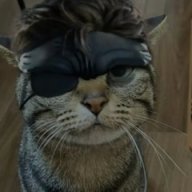 Wlfnbld