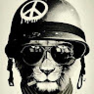 MadForce