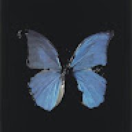 kkshadxw