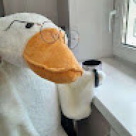goose911