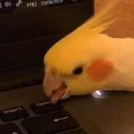 grtewfv_