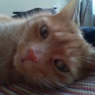 Puff