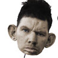 novandor