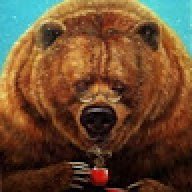 Nico_Bear_13