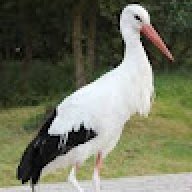 12nuihni