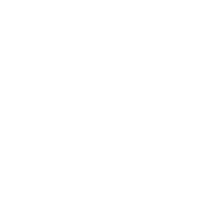 TheVoid