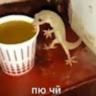 FROGQUEEN