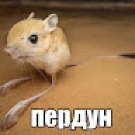 ZZZ1244145