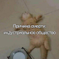 Кураббачи