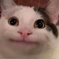 Pelmen