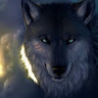 Alex_Wolk