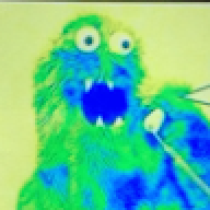 Nelr