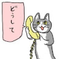 SamOneOne