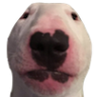 dexodo