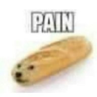 Pchel