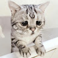 mops_