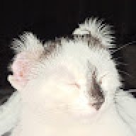 Pscyhowaty