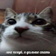 ggmaster213123123