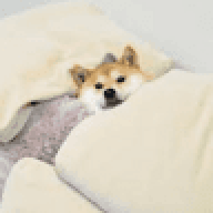 DogeLuan