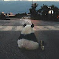 Сardinall