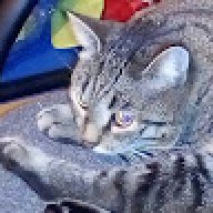 frensh