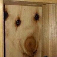 VGHVHKGVBUI