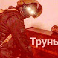 pupadityr