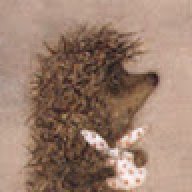 Bazisa