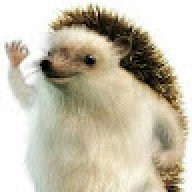 vorobgr