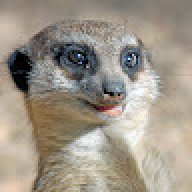 CypuKaT