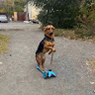 jozapf