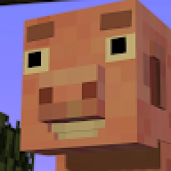 ssusl
