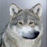 Плотп