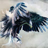 Bastion