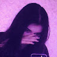 vxcvsafa