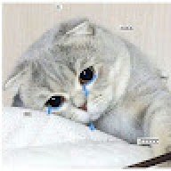 meowkimurki