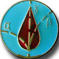 Otomatik