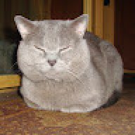 oggole