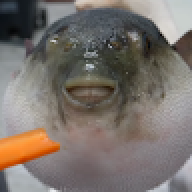 dsfsdfgsdf